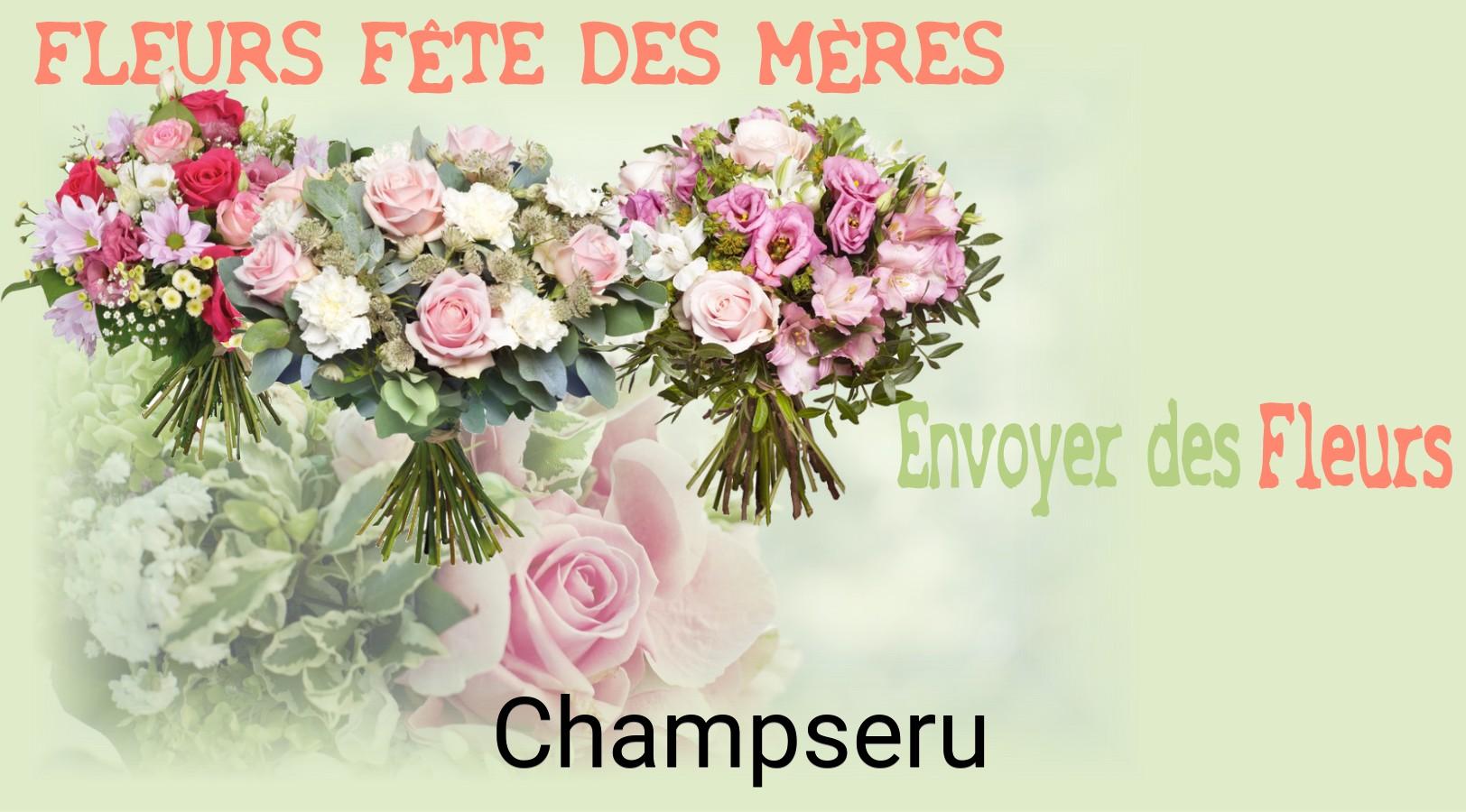 Bouquet de Fête des Mères livré à Champseru